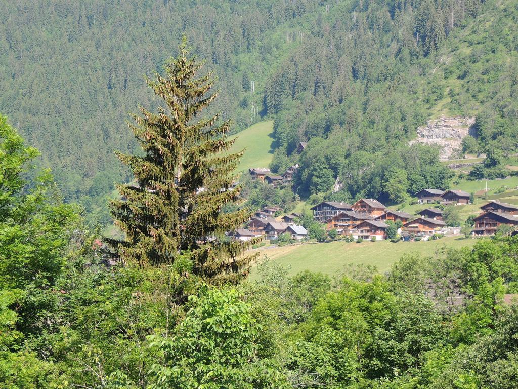 Ferienwohnung La Duche 101 Le Grand-Bornand Zimmer foto